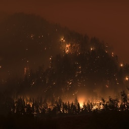 Fire Photo